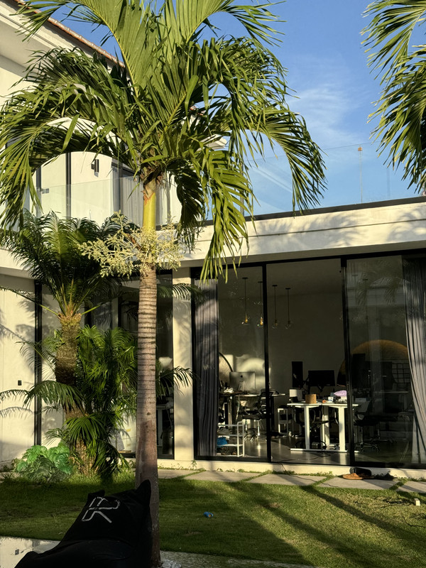 Best WiFi and Coworking in Canggu: A Founder's Honest Review